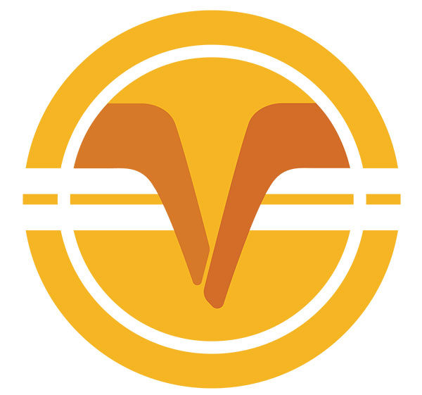 Vinfin – Cho Vay Tài Chính